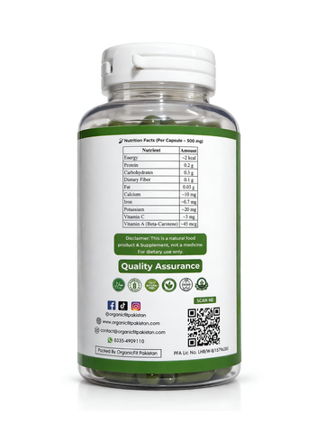 Organic Moringa Capsules — 500mg
